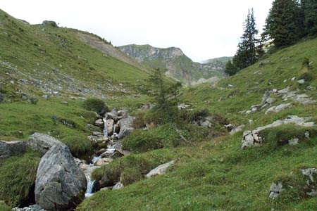 Alpine meadows between Sulwald and Suls