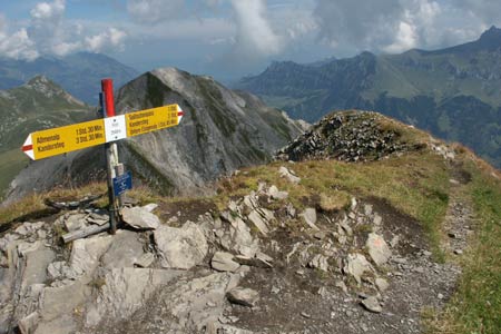 Footpath sign near the summit of First