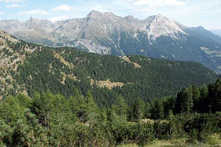 The landscape below Alp Grüm is much greener