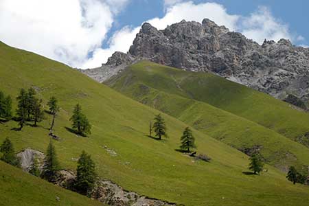 Alpine pastures in the Swiss National Park