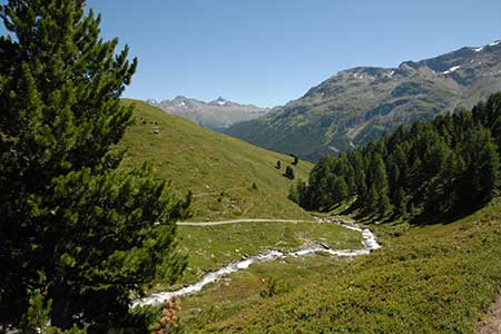 Climb south-west from footbridge to Sils Maria