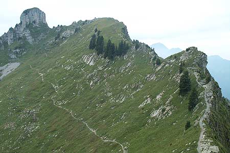 The Oberberghorn ridge path