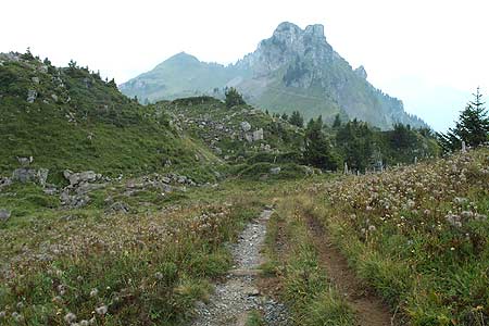 View to Oberberghorn from Panorama Path