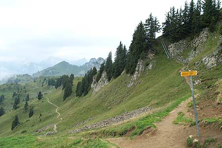 Retrospective view of the Panorama Path