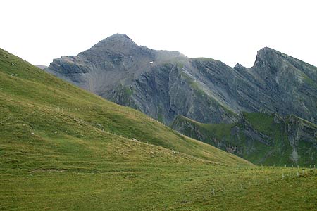 The Schwarzhorn seen from near First