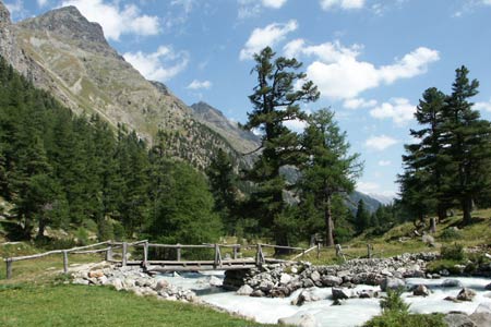 A wooden bridge across the river in Val Bever