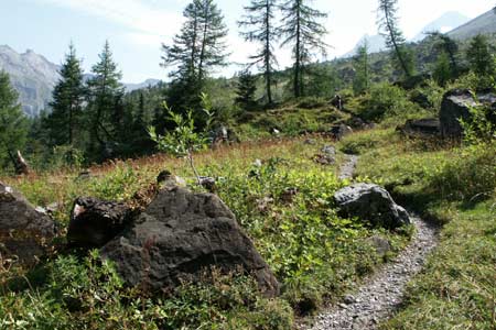 The path approaching the Doldenhornhütte