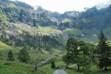 Upper reaches of Saxeten valley near Underberg