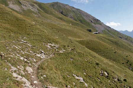 The path to First near Steintal