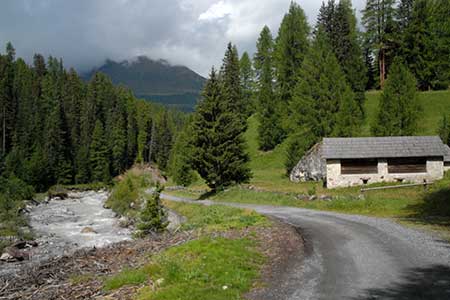 The track into the Swiss National Park