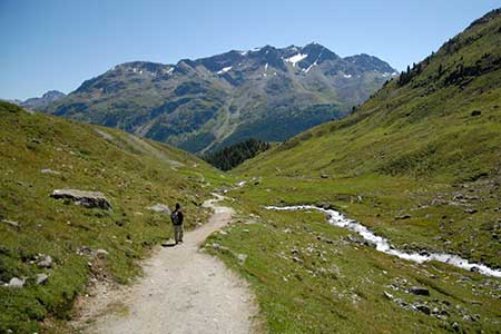 Descent from Alp Suvretta towards Champfer
