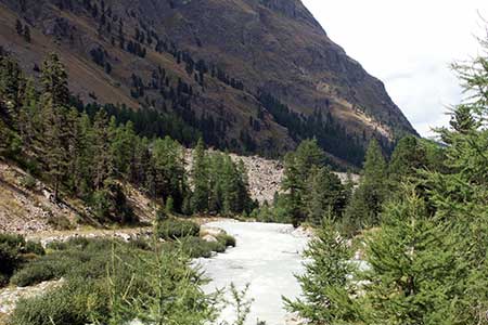 The river in Val Roseg