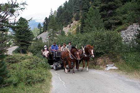 Horse drawn carriage in Val Roseg