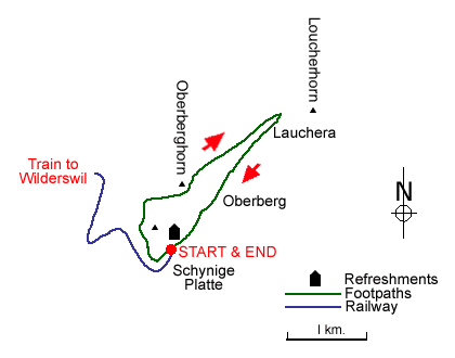 Route map for walk 8005