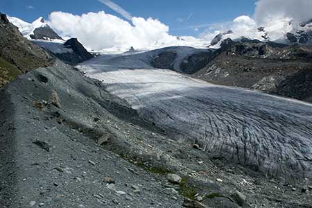 The retreating Findel Glacier. The former extent of the glacier can be neasured by the morraines.