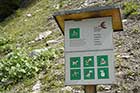 Photo from the walk - Swiss National Park from S-chanf
