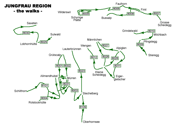 Jungfrau Area Transport Map