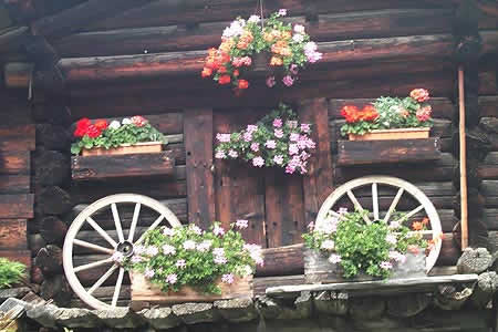 An inventive display of flowers and wheels near Mürren 